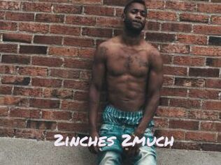 2inches_2much