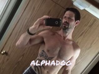 ALPHADOG