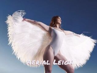 Aerial_Leigh Deutsche Sexcams