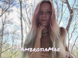 AmbrosiaMae
