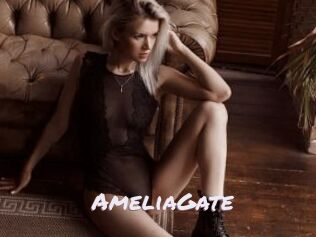 AmeliaGate