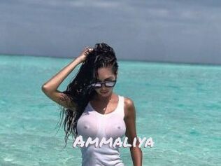 Ammaliya
