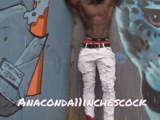 Anaconda11inchescock