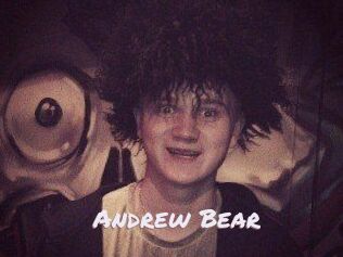Andrew_Bear
