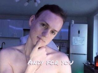 Andy_for_you