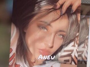 Aneu