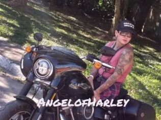 AngelofHarley