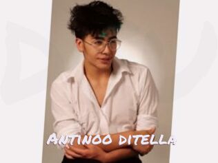 Antinoo_ditella