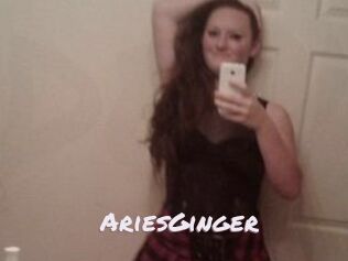 AriesGinger