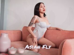 Asian_Fly