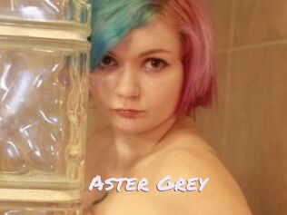 Aster_Grey