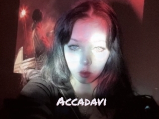 Accadavi