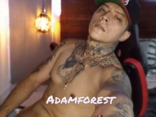 Adamforest