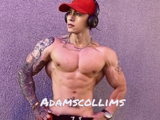 Adamscollims