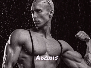 Adonis_
