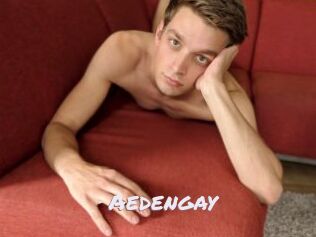 Aedengay
