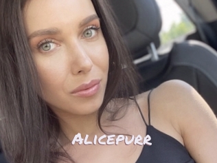 Alicepurr