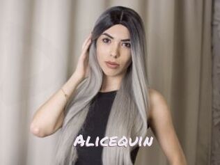 Alicequin