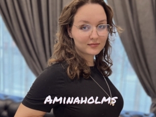 Aminaholms
