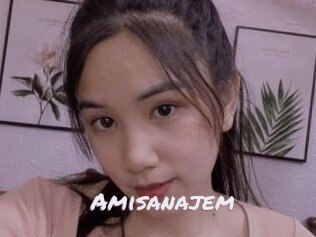 Amisanajem