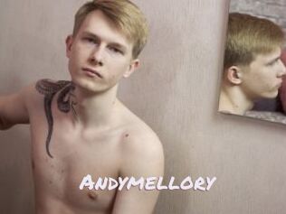 Andymellory