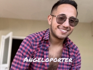 Angeloporter