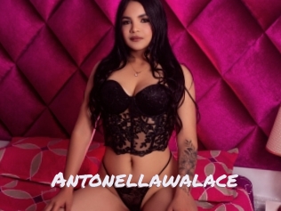 Antonellawalace