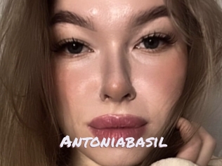 Antoniabasil