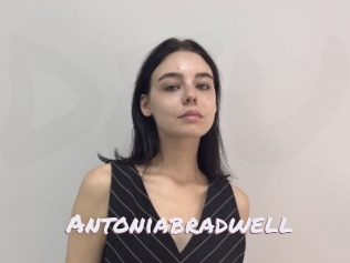 Antoniabradwell