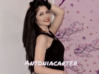 antoniacarter Deutsche Sexcams