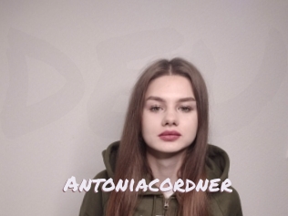 Antoniacordner