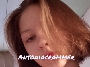 Antoniacrammer