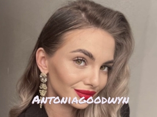 Antoniagoodwyn