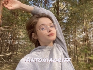 Antoniagriff