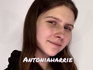 antoniaharrie Deutsche Sexcams