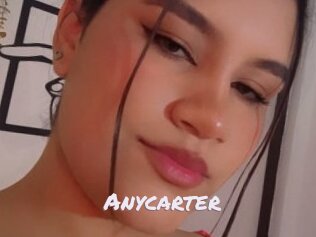 Anycarter