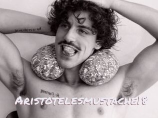 Aristotelesmustache18