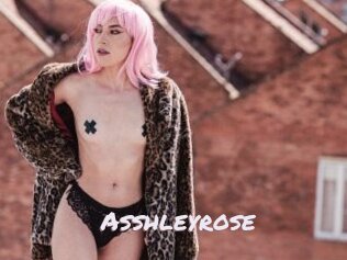 Asshleyrose