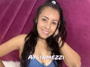 Aylinmezzi