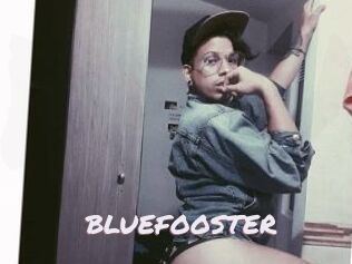 BLUEFOOSTER Deutsche Sexcams