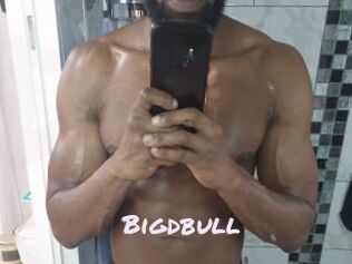 Bigdbull