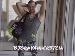 BjornVanderStein