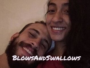 BlowsAndSwallows