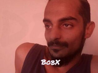 BobX