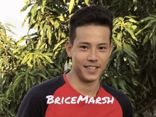 BriceMarsh
