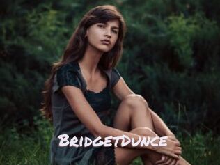 BridgetDunce