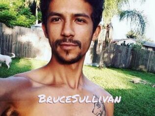 Bruce_Sullivan