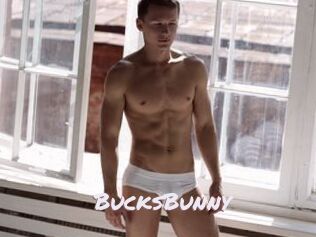 BucksBunny