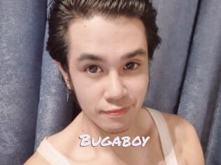 Bugaboy