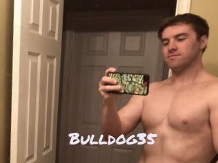 Bulldog35
